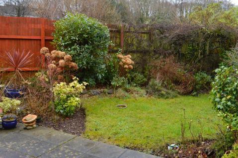 Garden at Back