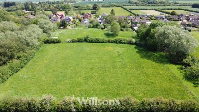 Grazing Paddocks
