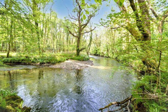 River Lyner