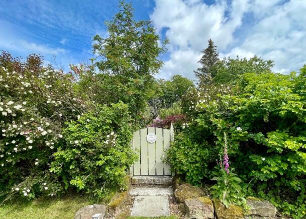 Ivy Cottage