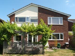 Rear Elevation