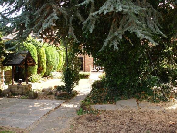 Photo 13