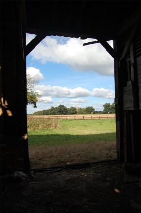 View From Barn