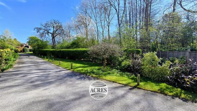 7 (Large) (Medium).jpg