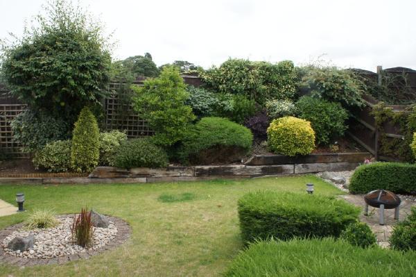 Photo 8