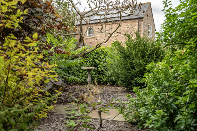 Rear Garden 2