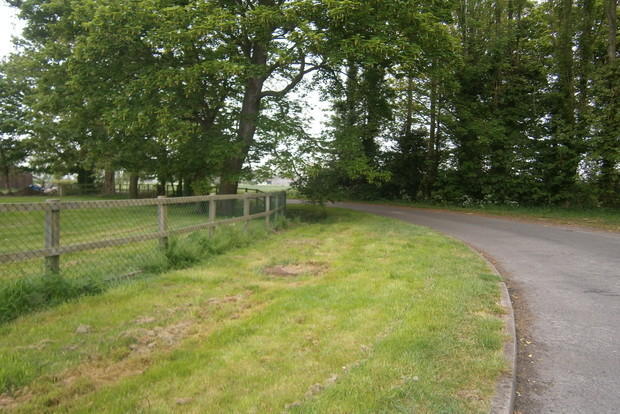 Photo 25