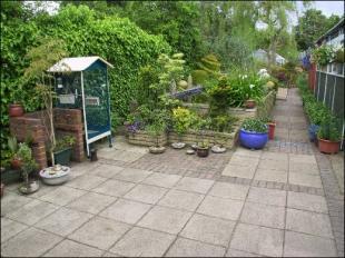 Main Patio