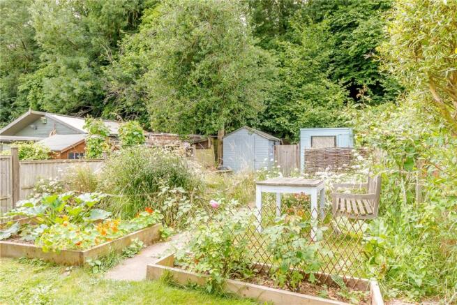 Vegetable Plot