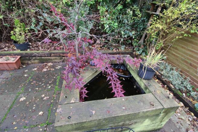 Pond in rear garden