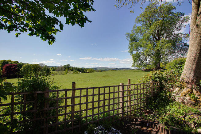 Terrace view