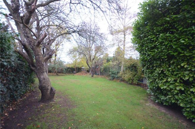Garden 2