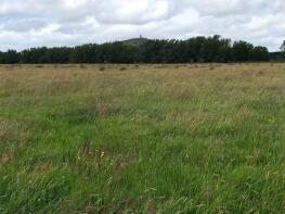 Watchwell House, Watchwell Drove, Butleigh, Glastonbury BA6 8TT