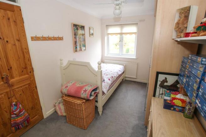 IMG_0384.jpg