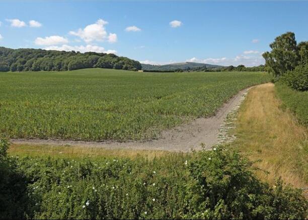South Downs
