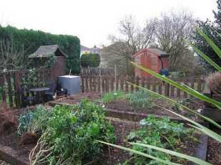 Vegetable Garden