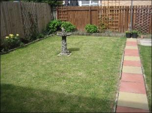 Rear garden
