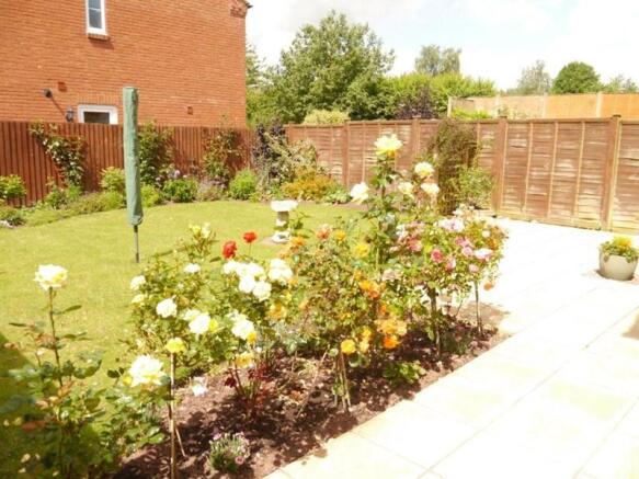 Photo 10