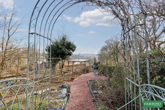 Vegetable Garden