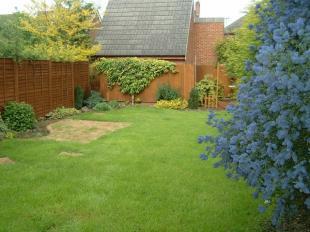 garden