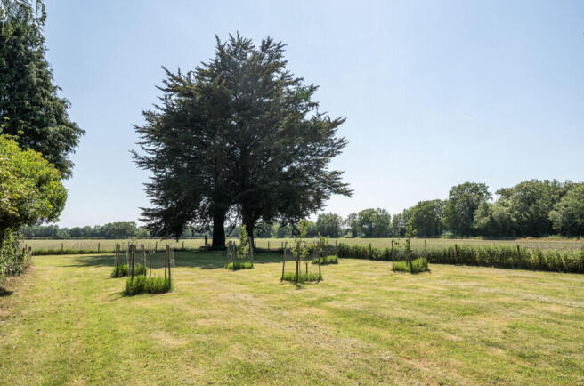 Garden/orchard