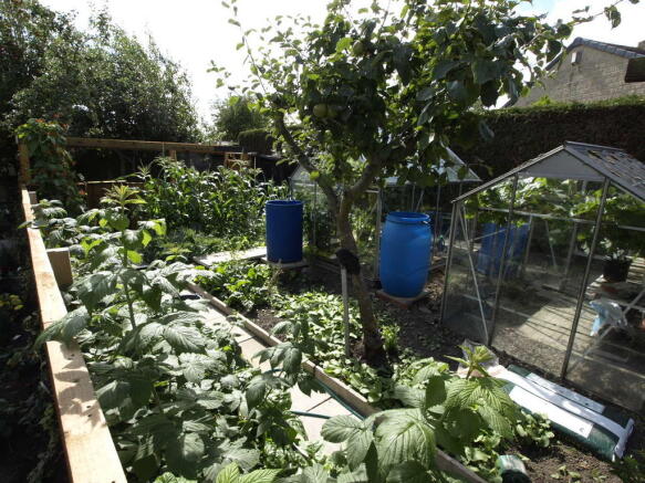 Veg garden