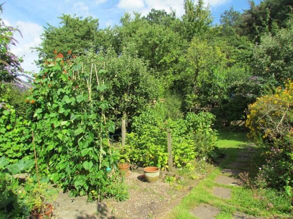 top of garden