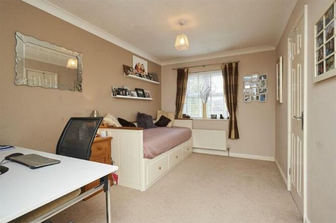 photo8