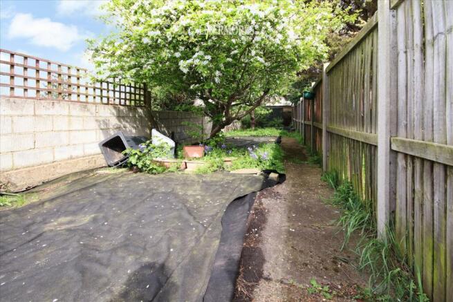 Garden.jpg