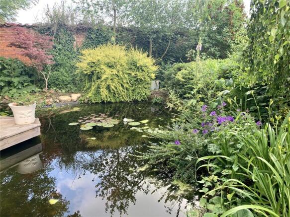 Pond