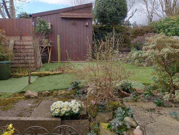 GardenPic3  moor.jpg