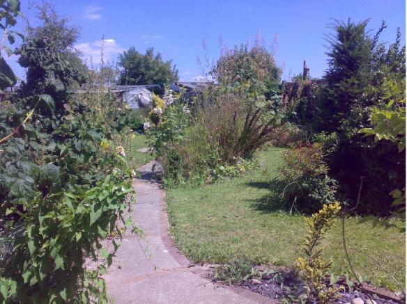 Garden 1