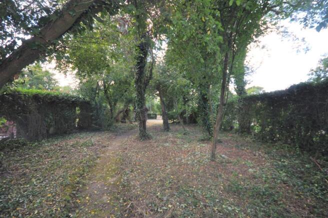GARDEN JPG