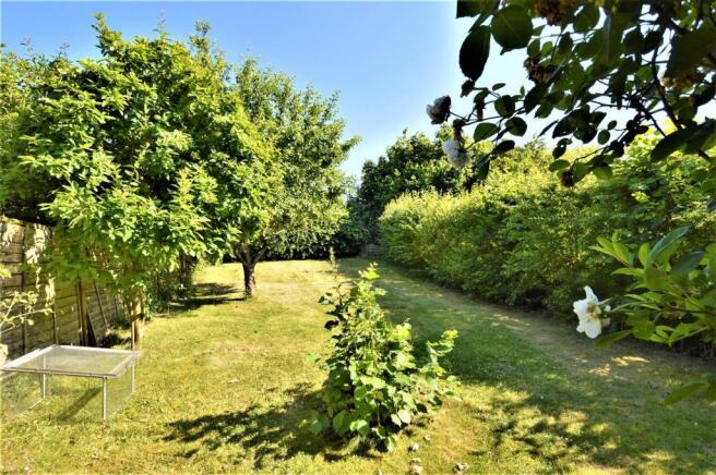 Garden 2