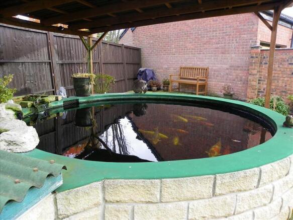 Pond