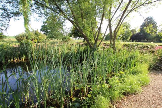 Communal Gardens
