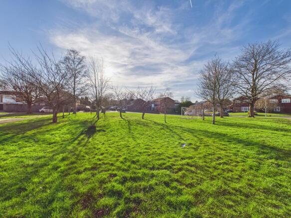 CAM02119G0-PR0540-STILL008