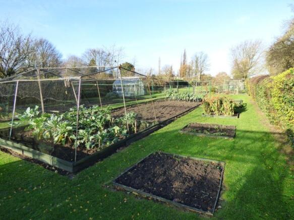 VEGETABLE GARDEN