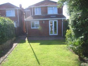 Garden Looking Back