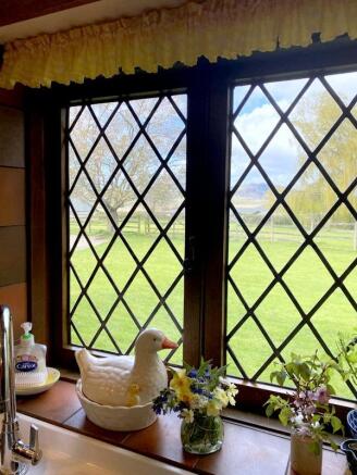 View From Kitchen