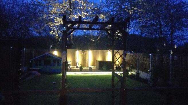 Garden in the evenin