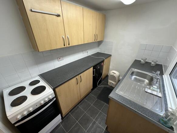 3 Medium T202602201148.jpg