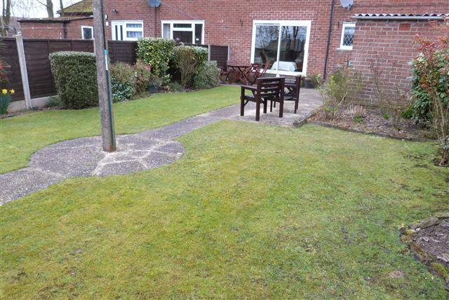 rear garden 2