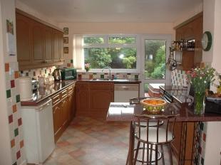 Kitchen New
