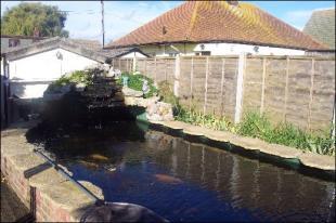 Photo 10