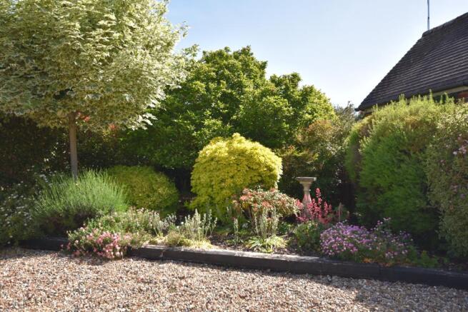 Front garden
