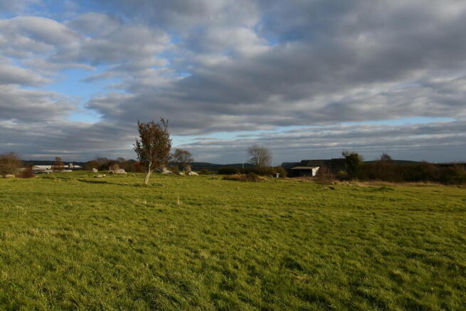 Photo 24