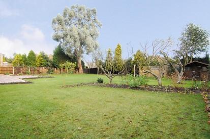 Garden Photo 2