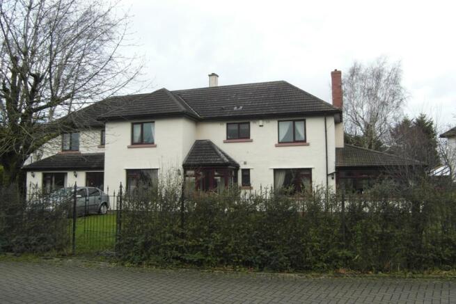 External