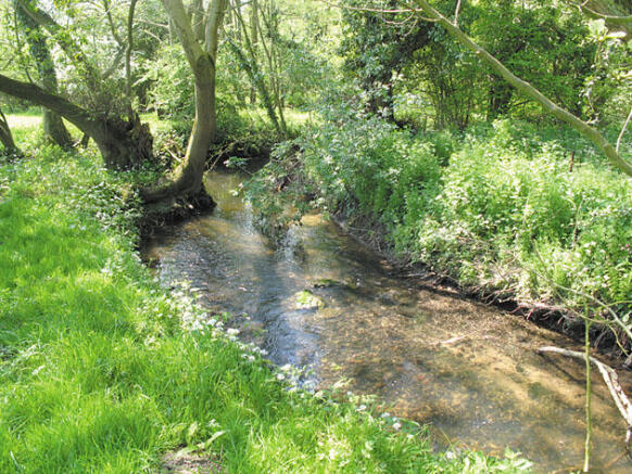 Larger water ciurse